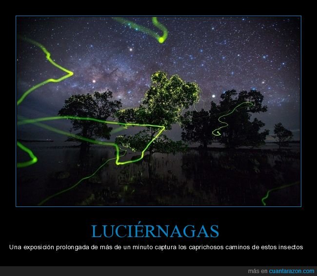 luciérnagas,exposición prolongada,caminos,fotografía